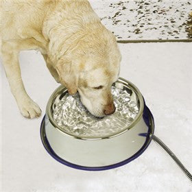 Heated Stainless Dog Water Bowl